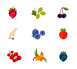 Poster - Berry fruit icon set