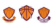 Set of basketball sport icons, logotypes or emblems