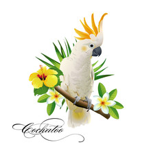 Parrot Cockatoo On The Tropical Branches With Leaves And Flowers On White Background. Vector Illustration.
