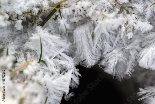 Fotografie, Obraz Eiskristalle, Eisblume und Erdloch als Makro in frostig winterlicher rauhreifen