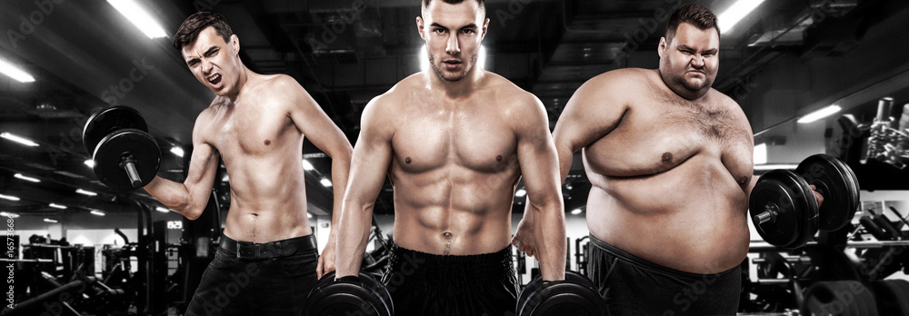 Fat, fit and athletic men. Ectomorph, mesomorph and endomorph . Before and after result. Group of three young sports men - fitness models holds the dumbbell in gym. - obrazy, fototapety, plakaty 