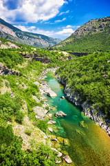 Wall Mural - top view of mountain river and canyon. the Tara river canyon, Durmitor national Park, Montenegro