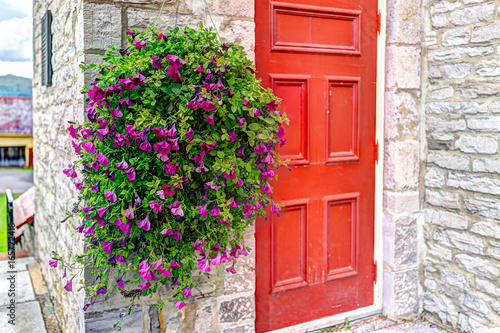 Purple Pink Magenta Calibrachoa Or Petunia Flowers Hanging In