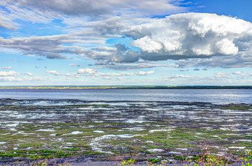 Wall Mural - Landscape view of Saint Lawrence river from Ile D'Orleans, Quebec, Canada in summer with green plants