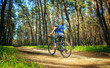 © Dimid - One young woman - cyclist in a helmet riding a mountain bike outside the city, on the road in a pine forest on a summer day.