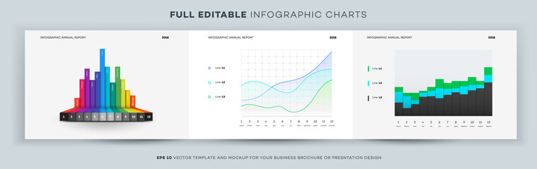 Full Editable Infographic Chart. Vector Template And Mockup For Your Business Brochure Or Presentation Design