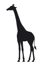 Vector Silhouette Of A Giraffe On White Background