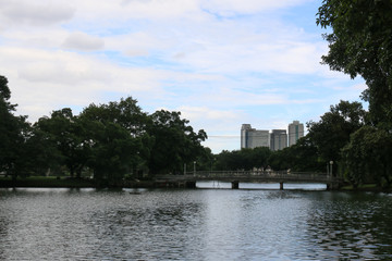 blue sky with silhouette park and lake in the city