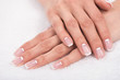 © LIGHTFIELD STUDIOS - close-up view of beautiful female hands with french manicure on white