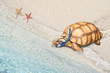 land turtle go into sea as wear swimming goggles and gears, funny safety and paradox concepts