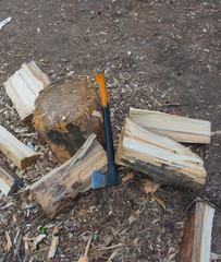  in the woods near stump axe for splitting firewood.