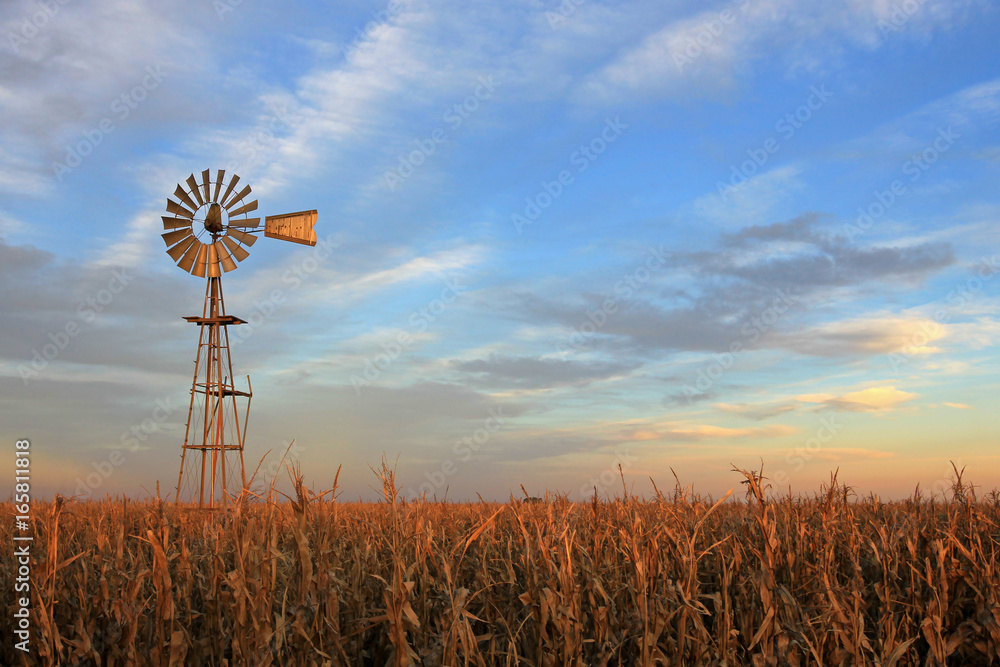 Texas style westernmill windmill at sunset, Argentina, South America - obrazy, fototapety, plakaty 