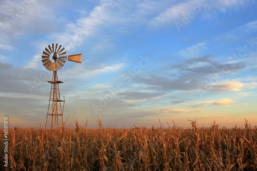 Cuadros en Lienzo Texas style westernmill windmill at sunset, Argentina, South America