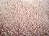 Fototapeta Do akwarium - Faux fur texture closeup