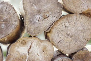 Wall Mural - Pile of tree stumps, woods structure. The spears of huge trees are stacked in a sawmill. Light Background Logging.