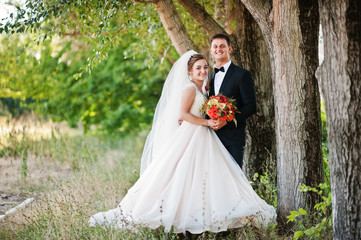 Fantastic wedding couple enjoying each other's company in the park.