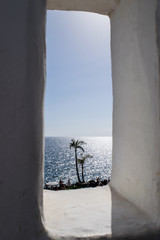 Two palms with the sea at background