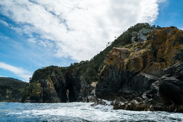 Bruny Island Sea Cliff