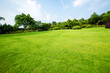 © onlyyouqj - Grassland landscape and greening environment park background