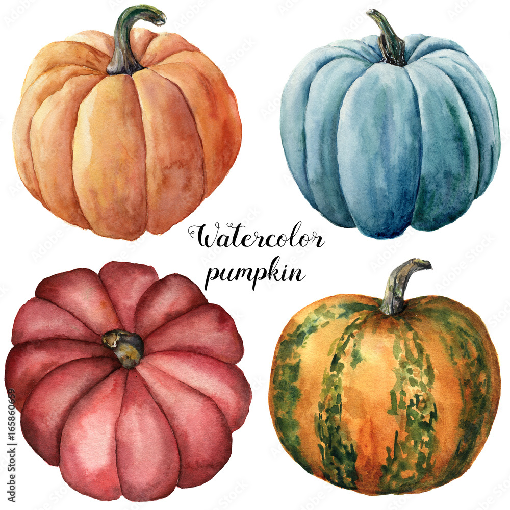 Watercolor pumpkins. Hand painted red, blue, orange and orange with ...