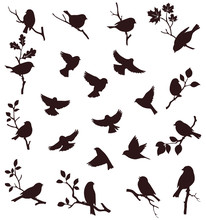 Vector Set Of Bird And Twig Silhouette