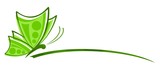 Fototapeta Tulipany - Logo butterfly. 