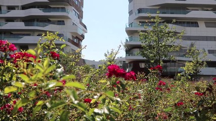 Fototapete - Video of City Life area in Milan, Italy. This is a new residential and financial district in the heart of the city.