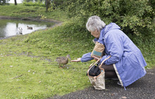 Senior Woman Feeding The Ducks 