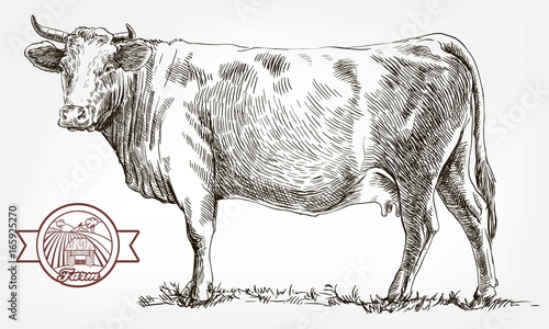 Dekoracja na wymiar  krowa-hodowlana-hodowla-zwierzat-zywy-inwentarz