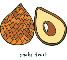 Wall Mural - Snake fruit coloring page. Graphic vector colorful doodle art for coloring books for adults