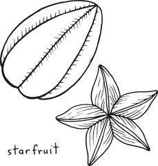 Wall Mural - Starfruit coloring page. Graphic vector black and white art for coloring books for adults. Tropical and exotic fruit line illustration.