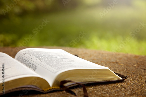 Plakat Otwarta Biblia na stole w zielonym ogrodzie