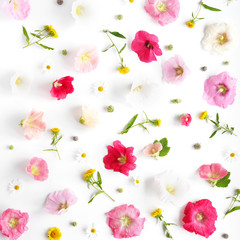 Wall Mural - Pink mallow flowers isolated on white background. Abstract floral composition. Flower pattern. Frame of plants and flowers. Top view, flat lay.