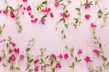 Wall Mural - Pink flowers on a pink background. Abstract floral composition. Flower pattern. Frame of plants and flowers. Top view, flat lay.