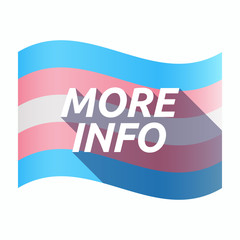 Canvas Print - Isolated transgender flag with    the text MORE INFO