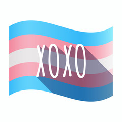 Wall Mural - Isolated transgender flag with    the text XOXO