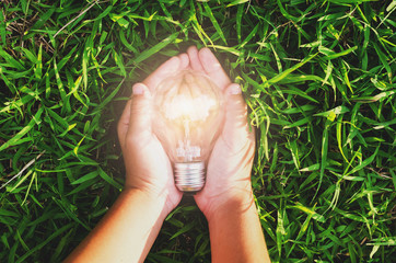 Wall Mural - hand hold light bulb on grass with sunset power energy concept