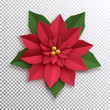 Christmas star. Paper poinsettia red flower. Vector illustration icon isolated.