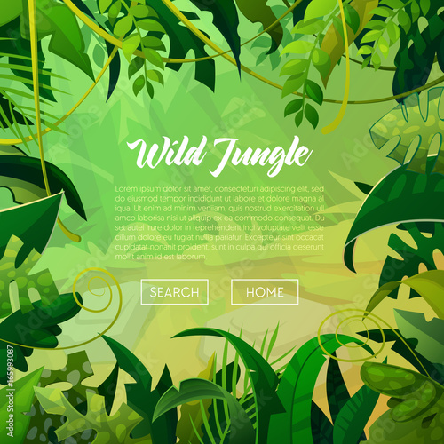 Jungle Banner Tropical Leaves Background. Palm Trees Poster. Vector illustration