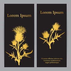 Sticker - Decorative vector thistle (Carduus acanthoides) silhouette