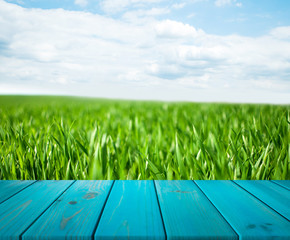 image of wooden table in front of abstract blurred background of grass. can be used for display or montage your products. Mock up for display of product.