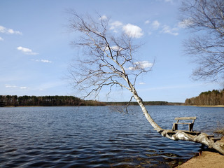 Wall Mural - View of the lake in the sunny day