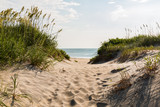 Fototapeta Morze - Sandy pathway to Coquina Beach on the Outer Banks in North Carolina at Cape Hatteras National Seashore.