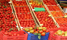 Many Ripe Red Tomato In The Boxes On Sale In The Grocery Store I