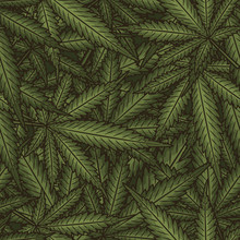 Marijuana Leaves Seamless Vector Pattern. Cannabis Plant Green Background.