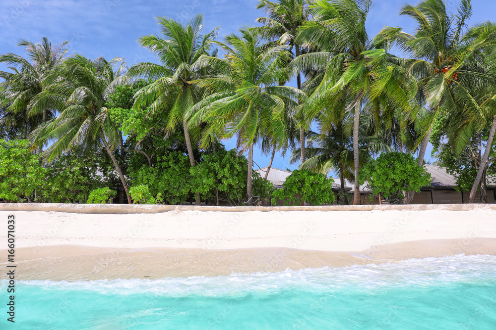 View of beautiful beach with tropical palms at resort