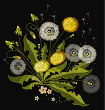 Dandelions Embroidery. Beautiful Dandelions, Summer Flowers, Classical Embroidery, Template For Clothes And Textiles, T-shirt Design