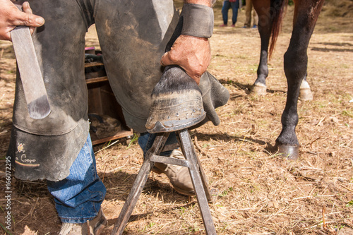 Fotografie, Obraz maniscalco operazioni di ferratura del cavallo