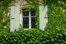 Romantic House Old Window Invaded By The Vegetation