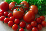 Fototapeta Dmuchawce - Large and small red tomatoes along with lettuce leaves.
